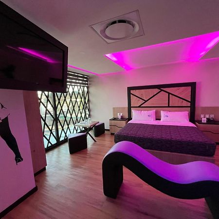Hotel City Lights 墨西哥城 外观 照片